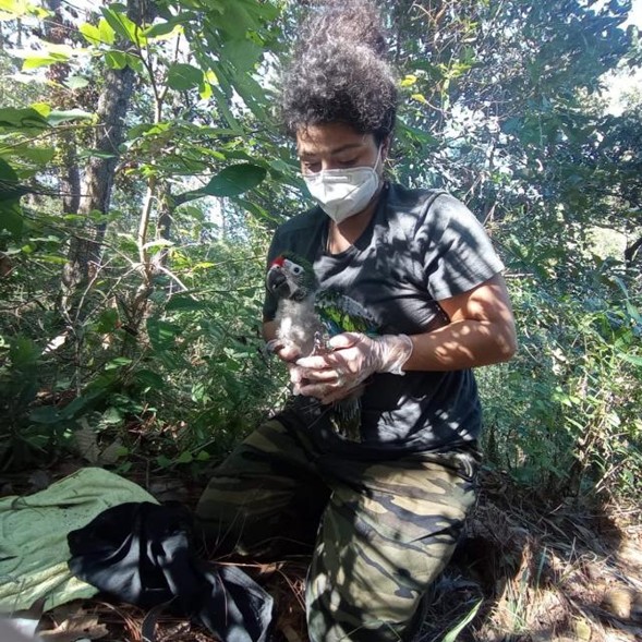 Scientific Committee, Vallarta Botanical Garden, Puerto Vallarta, Jalisco