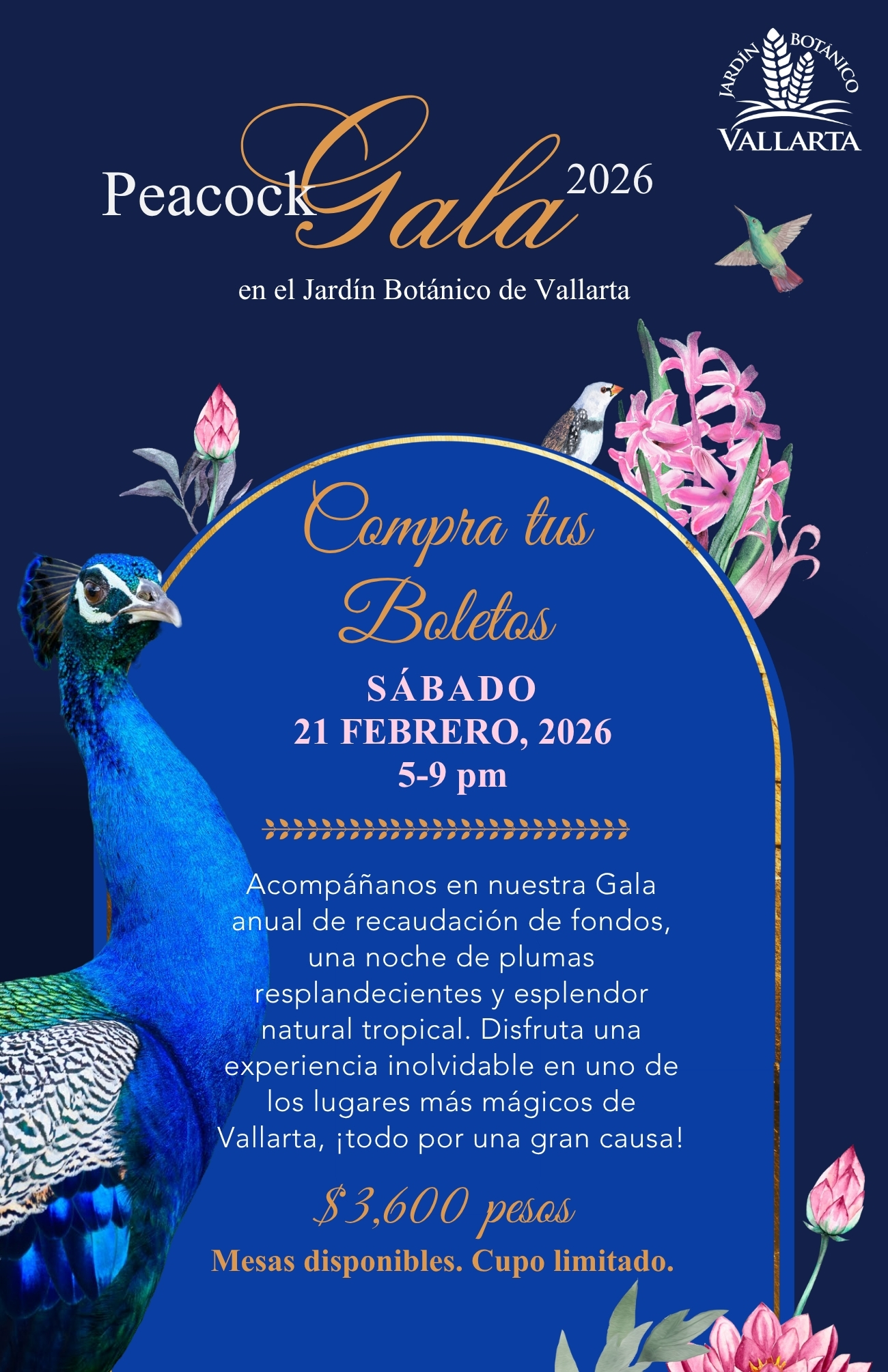 Jardín Botánico de Vallarta, Puerto Vallarta, Mexico, conservación, Peacock Gala
