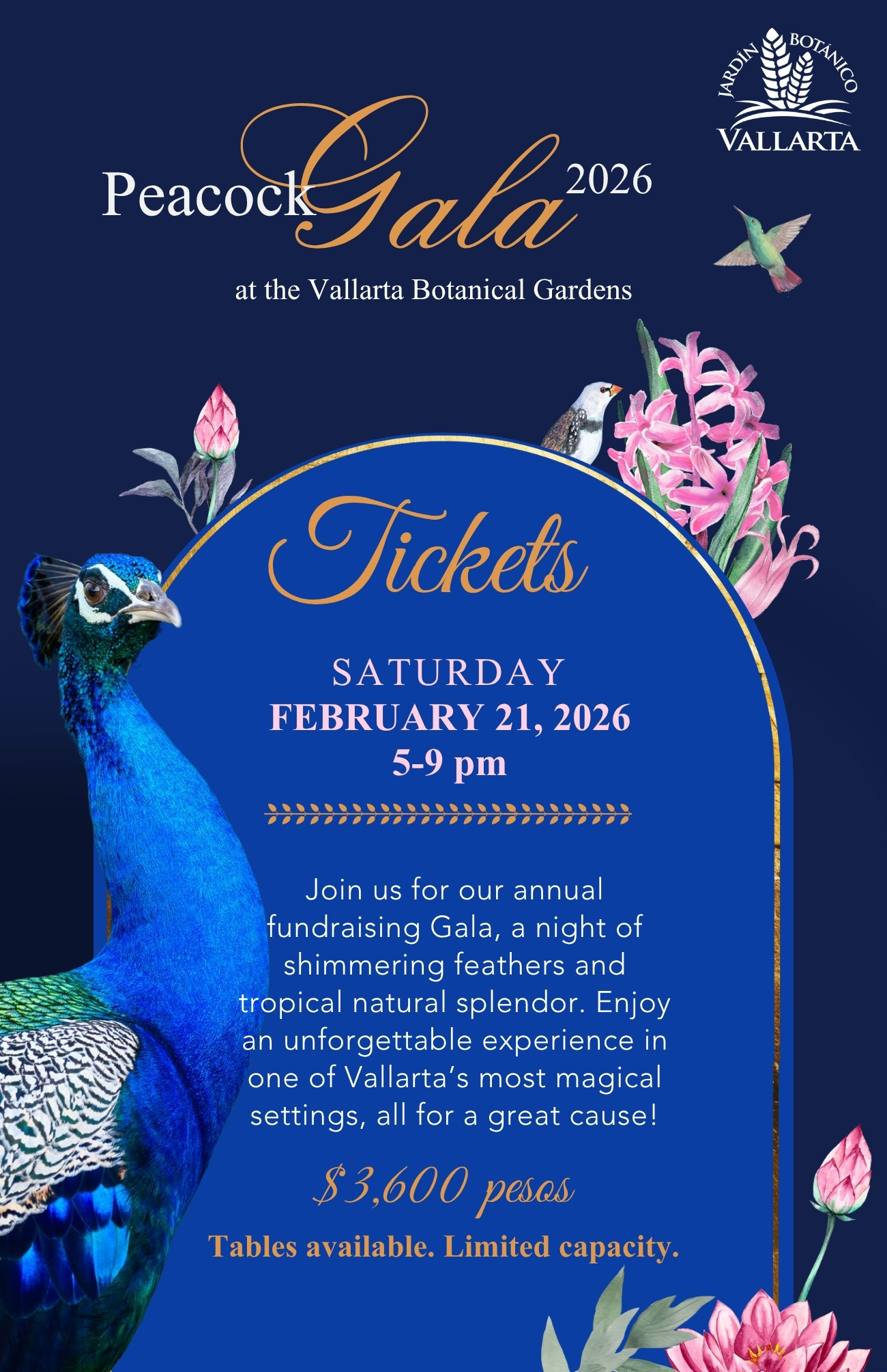 Peacock Gala, Vallarta Botanical Garden, peacock, peacocks, puerto vallarta, mexico, conservation, nature