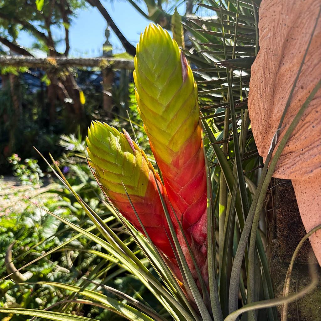 VBG_What's-on-1024x1024